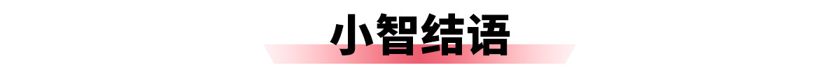理想i8：要么不做，要做就做最好