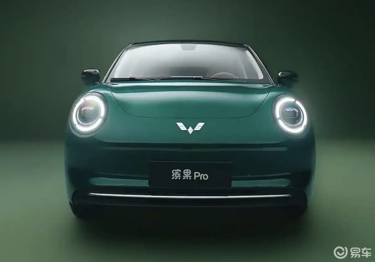 预测预售6万起，403km续航的缤果Pro能火吗？