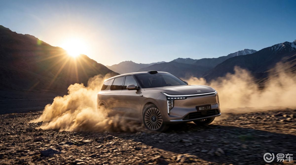 30万内唯一线控转向SUV 24.98万起智己LS8上市