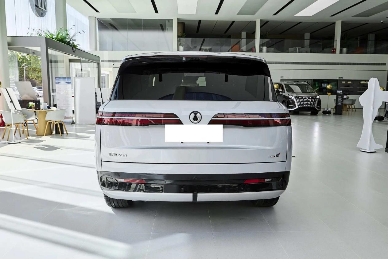 豪华大型SUV间的对决,腾势N9 DM和理想L9