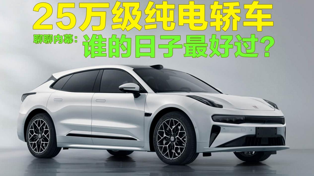 聊聊内幕:25万级纯电轿车,谁的日子最好过?
