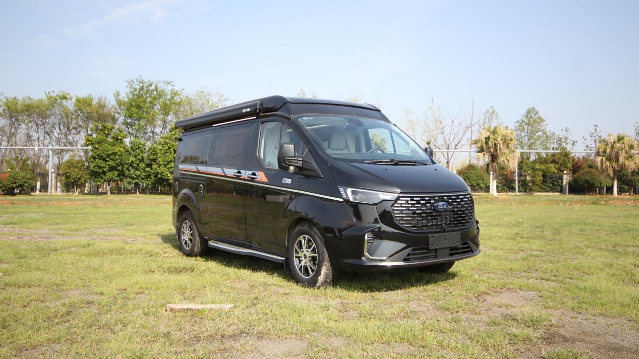 福特全顺小野牛