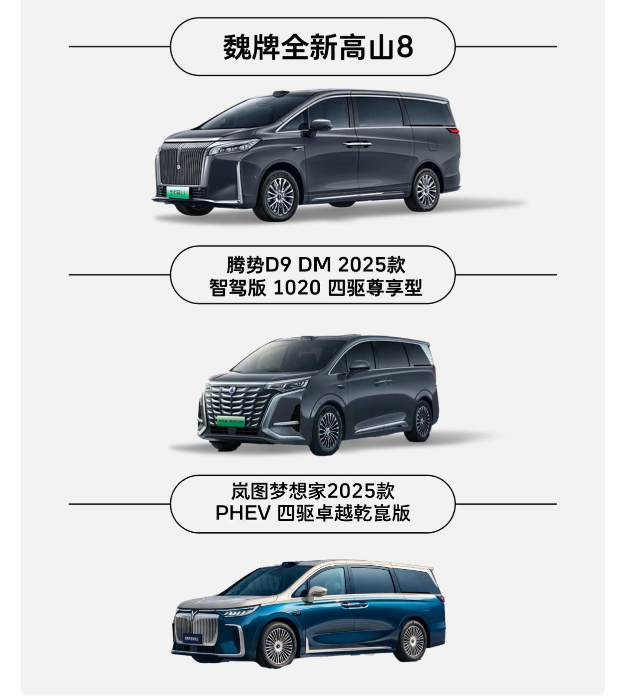 魏牌全新高山迎来上市，国产MPV市场迎来实力角逐