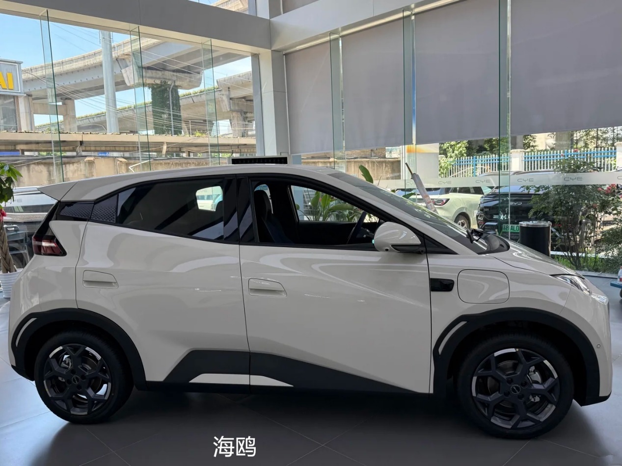 缤果S和海鸥、极狐T1，小型车谁更值得选？