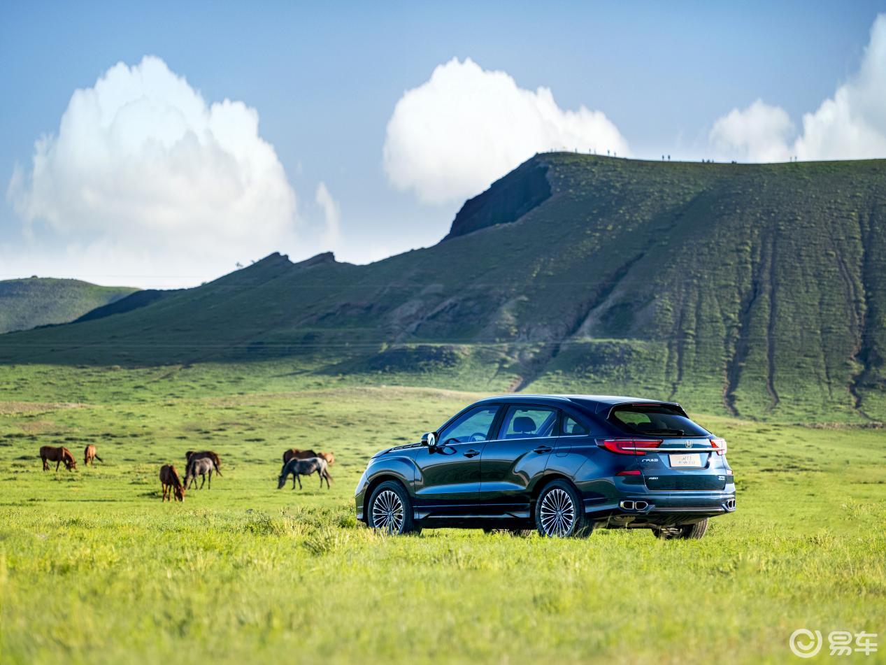 别让“伪七座”毁了假期，冠道大五座才是高价值之选