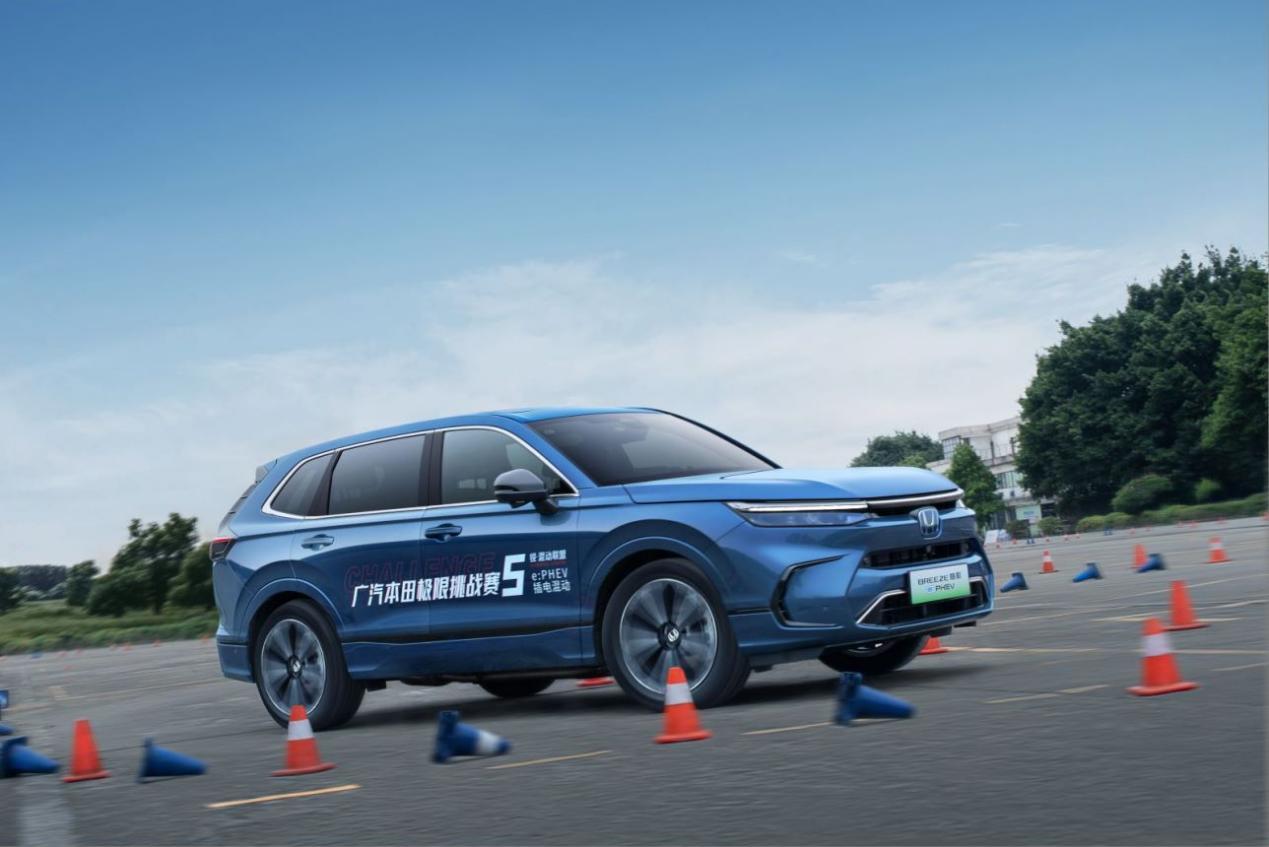 皓影 锐·混动e 电池