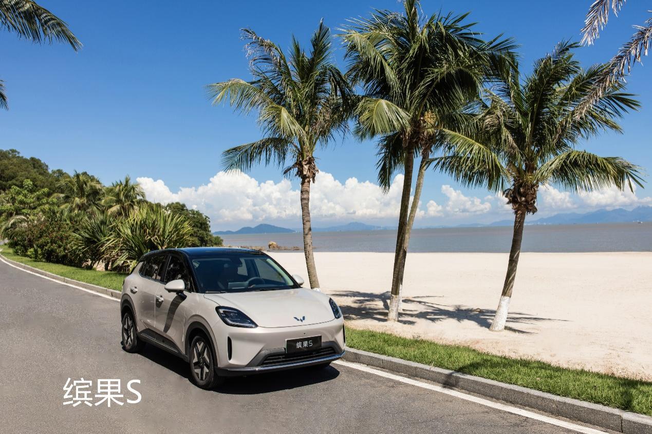 缤果S和海鸥、极狐T1，小型车谁更值得选？