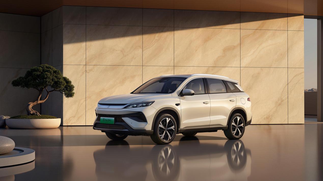 纯电续航破200公里 比亚迪三款新车齐发 家庭出行再升级