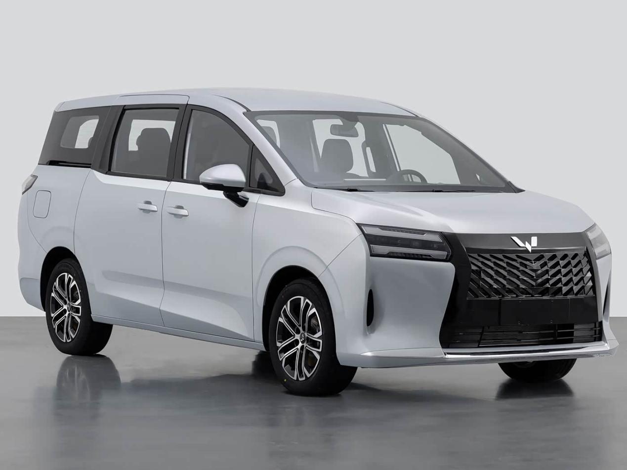 宜家宜商 新能源MPV车型盘点