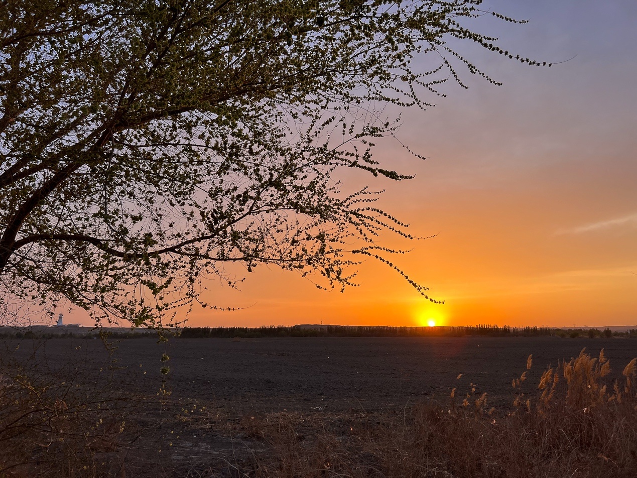 在乌尔禾的烈风里，我试了试中国星i-HEV的“成色”