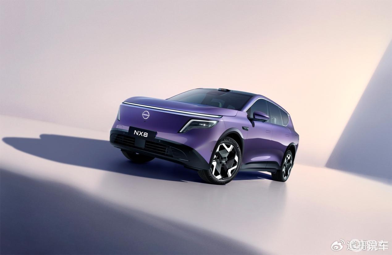 首搭800V+5C超充，东风日产NX8公告图发布