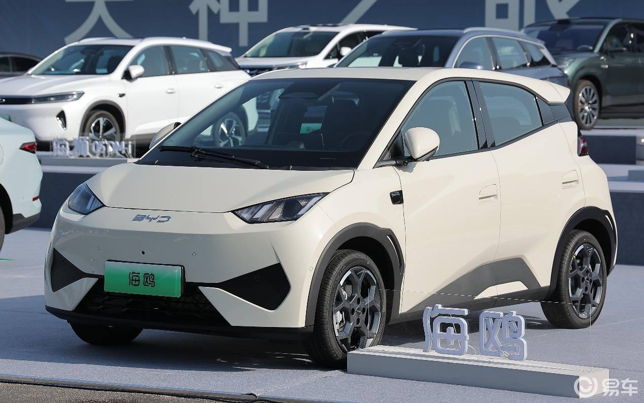 海鸥对比极狐T1 纯电代步小车怎么选?