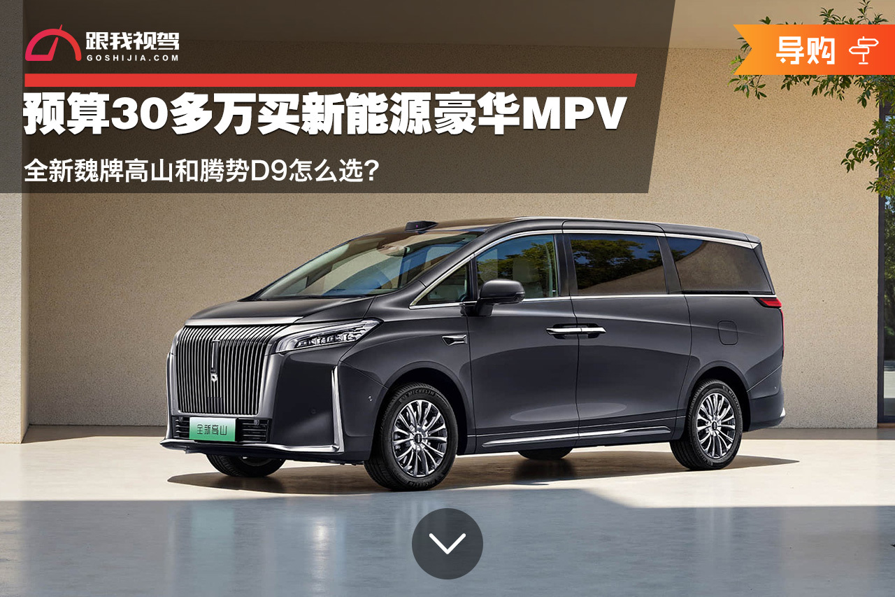 预算30多万买新能源豪华MPV怎么选？