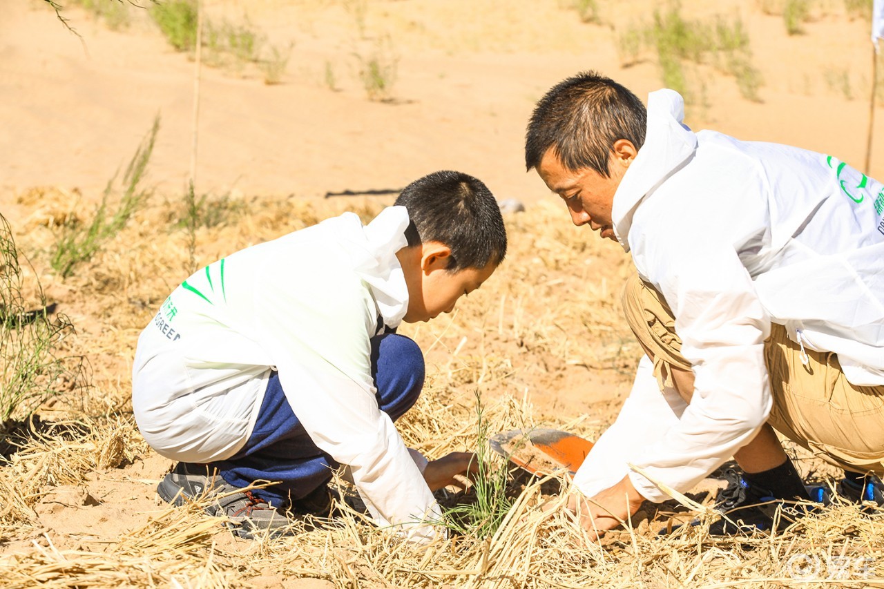 "绿动未来"甘肃植树行沙漠边的孩子迎来"绿动未来爱心林"
