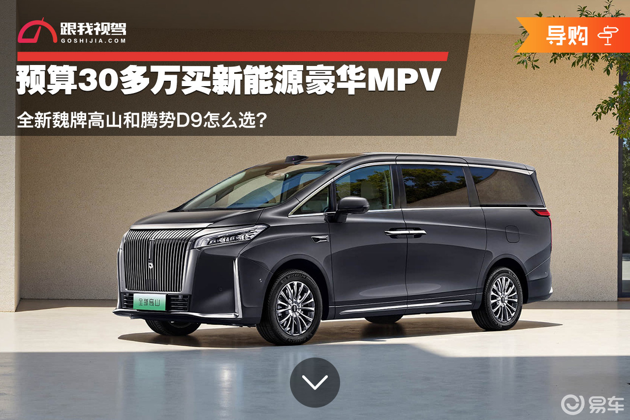 30多万买新能源豪华MPV 全新魏牌高山和腾势D9怎么选