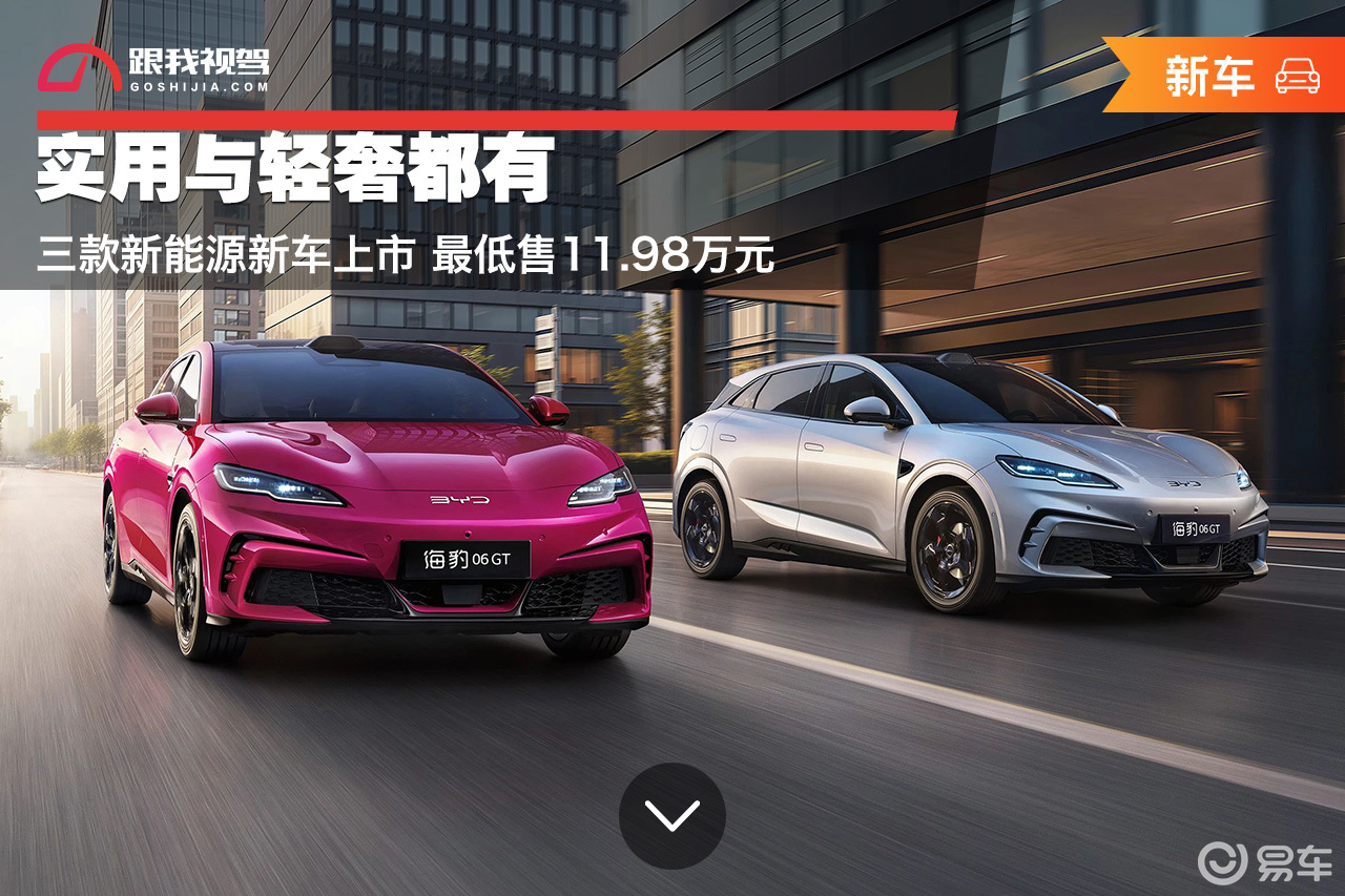实用与轻奢都有 三款新能源新车上市 最低售11.98万元