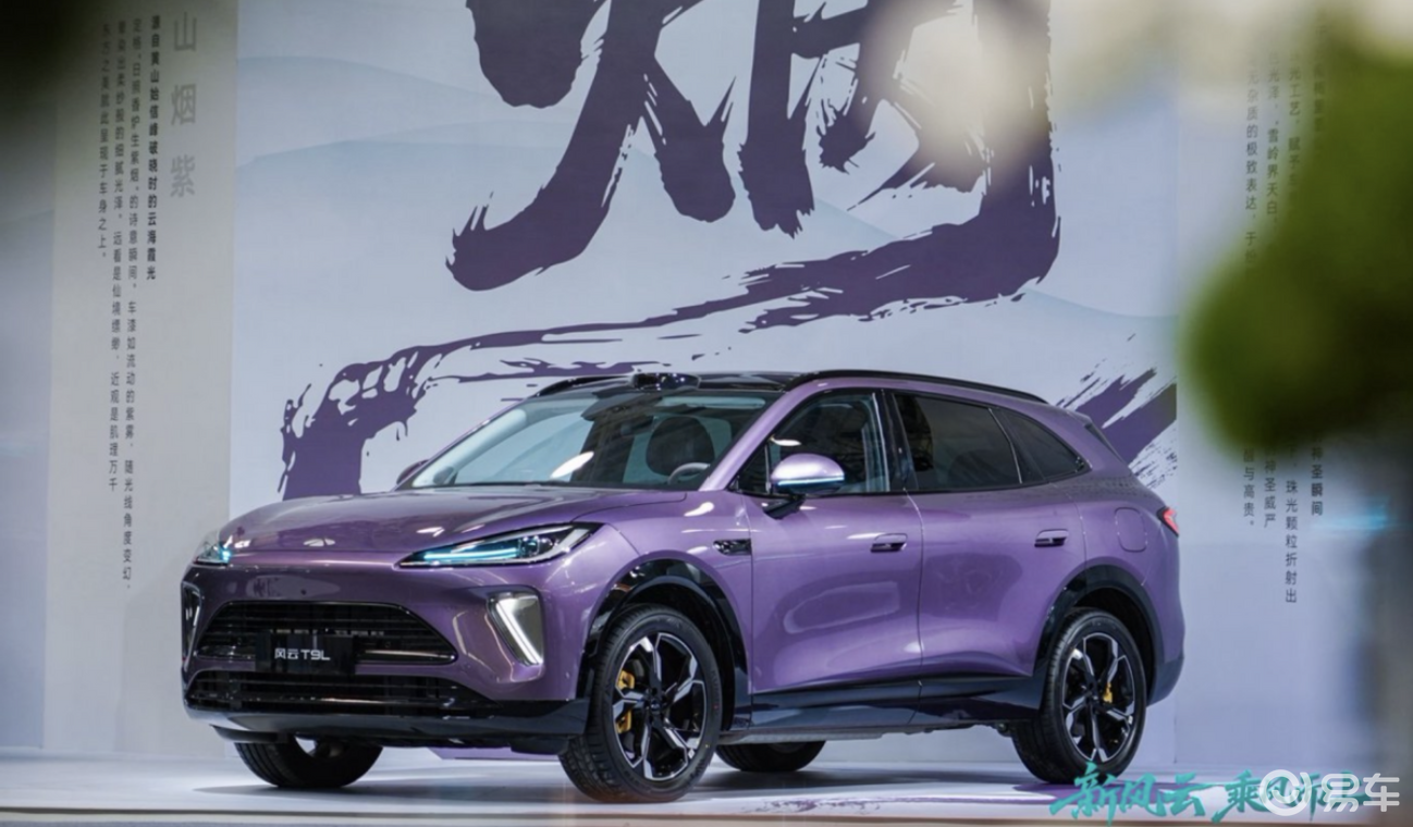 风云T9L正式预售，全栈自研实力助力家庭出行一步到位