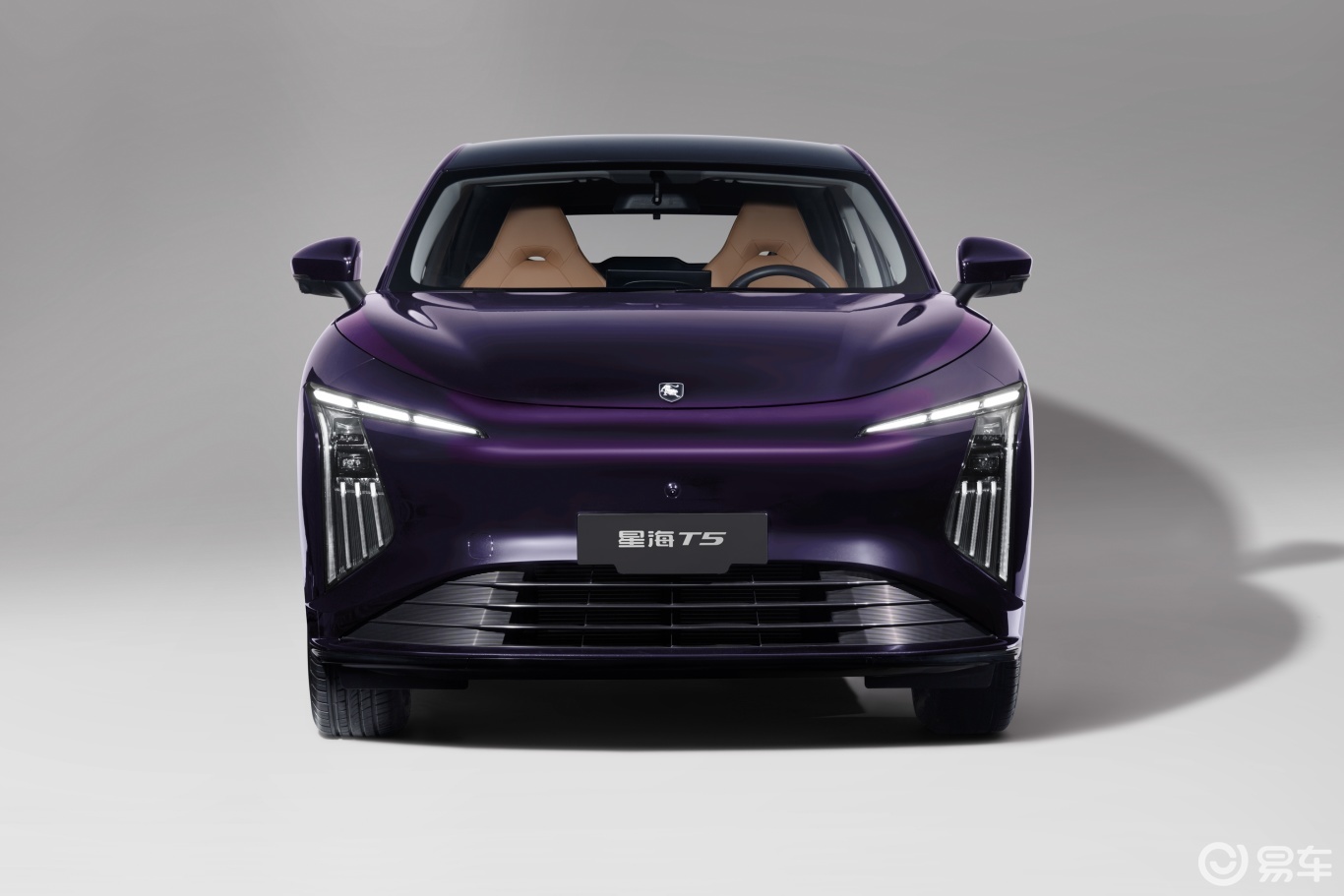 售价15.39万元起/纯电紧凑型SUV 东风星海T5上市