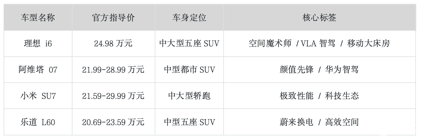 带娃自驾不将就：20-30万级纯电SUV终极盘点