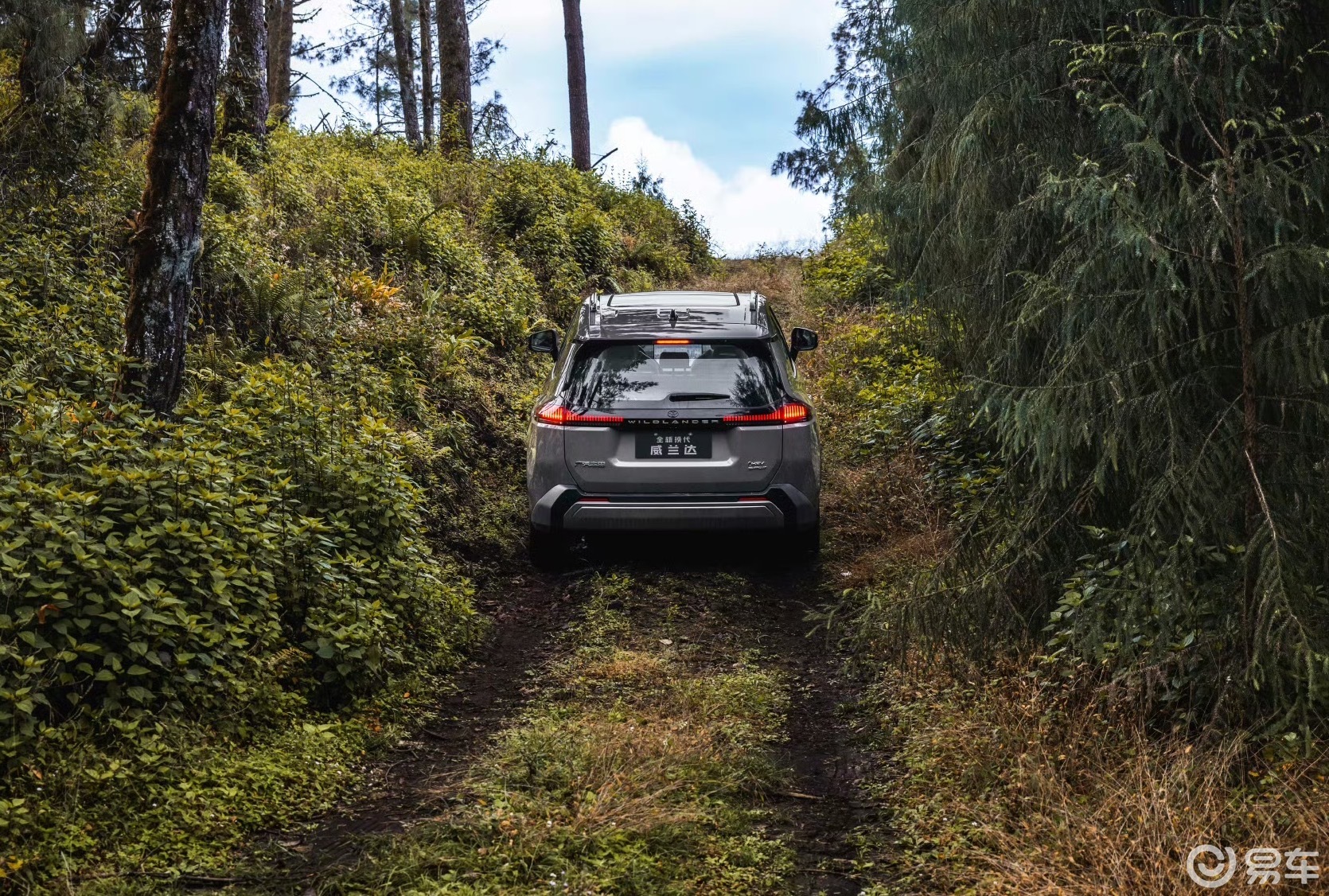 价格或有惊喜 全新丰田威兰达AIR版将于2月24日上市