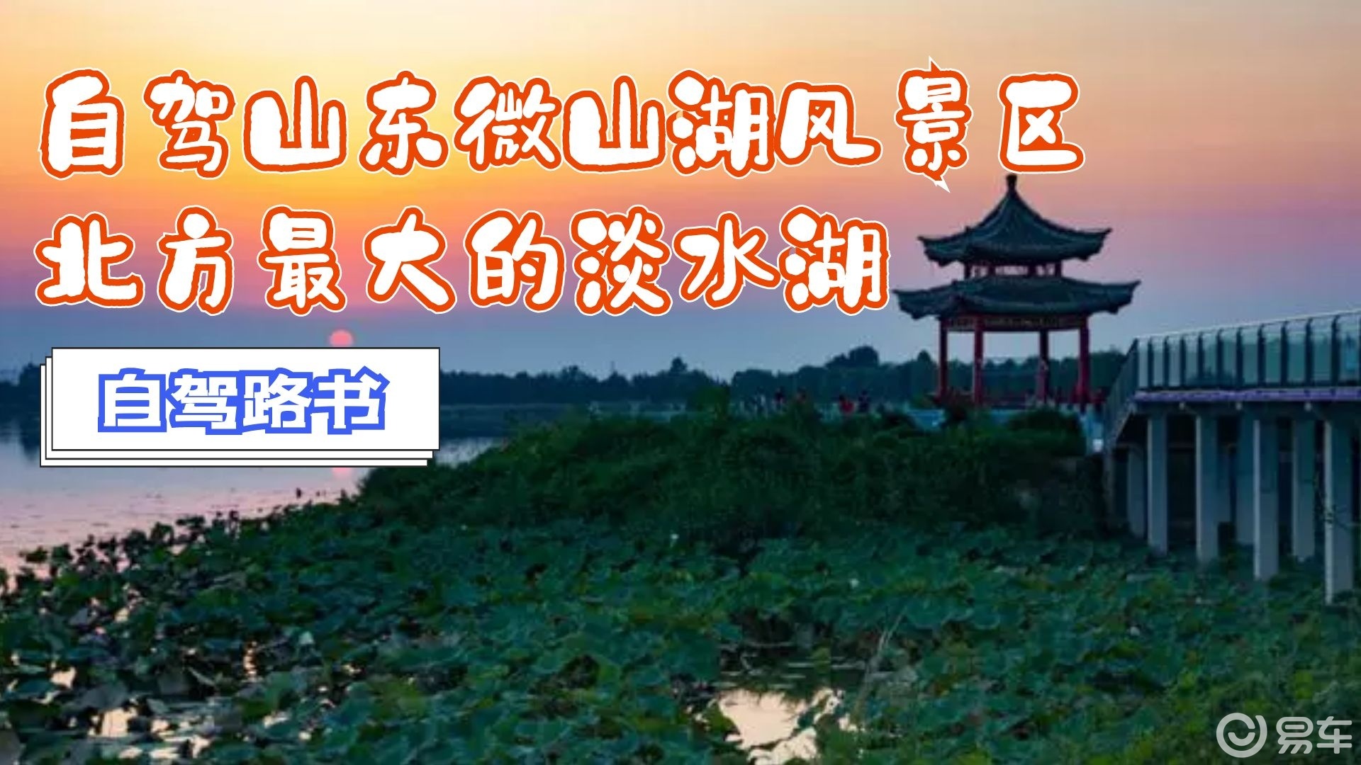 自驾山东微山湖风景区,北方最大的淡水湖,中国荷都赏万亩荷花!