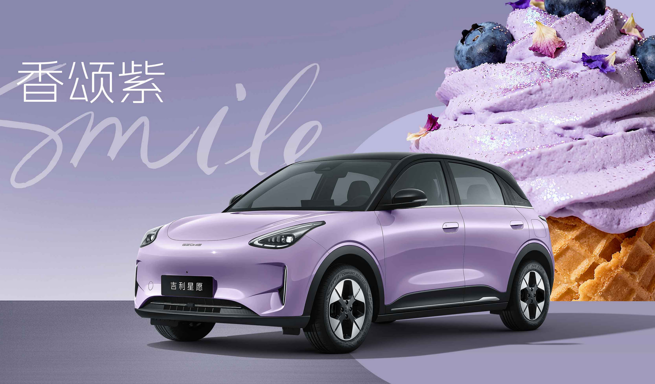 纯电代步小车二选一，吉利星愿与比亚迪海鸥谁更有性价比？