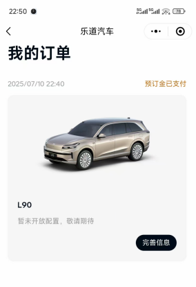 乐道L90选车篇