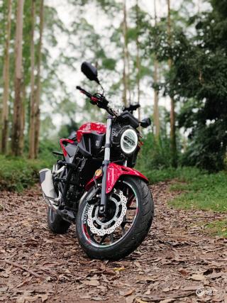 巨蟹座的越野兔