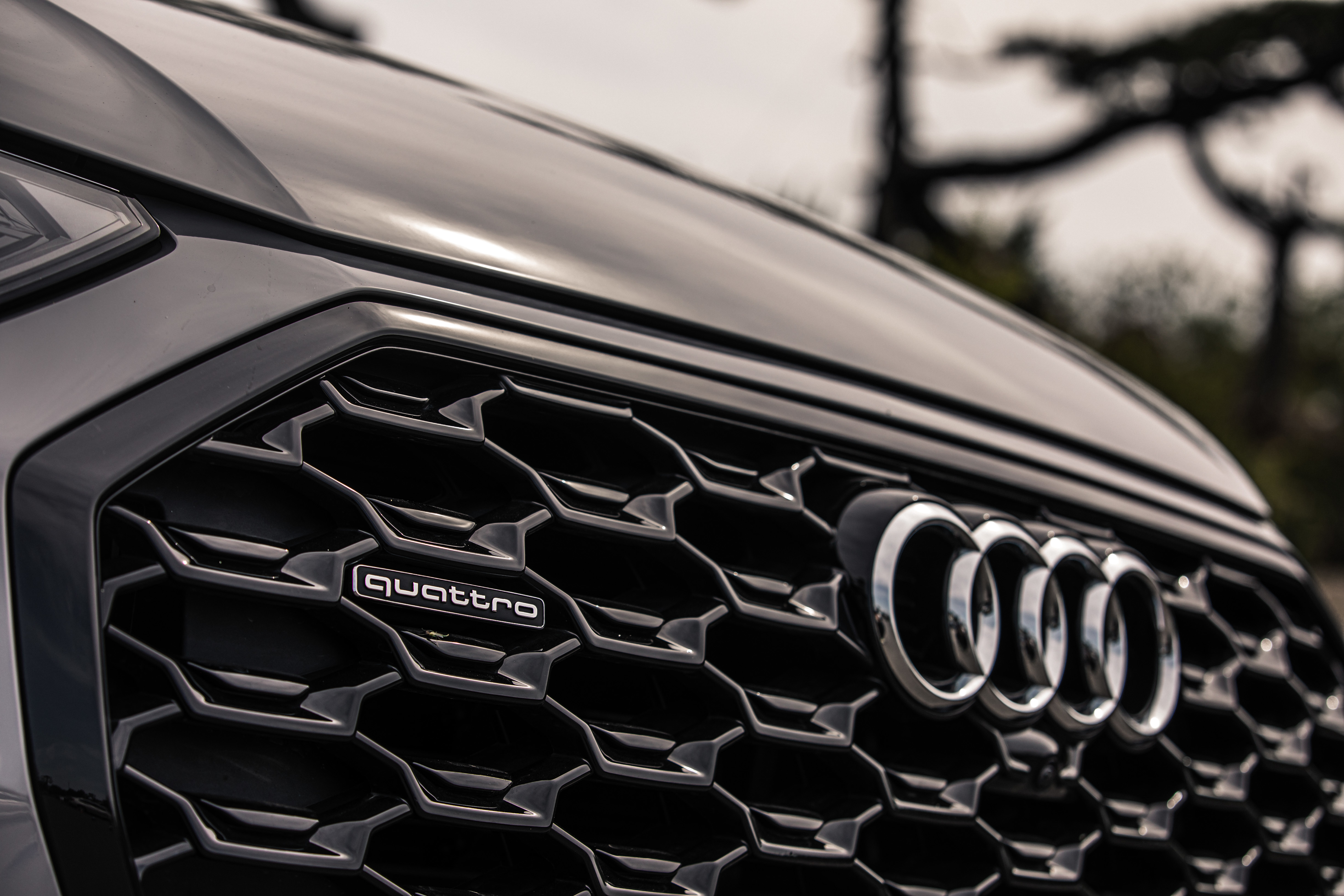 只愿你被美好包围 与奥迪q5l sportback的邂逅