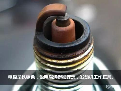 20f8eccf829a4f2e8357eb969bc218e7.jpg