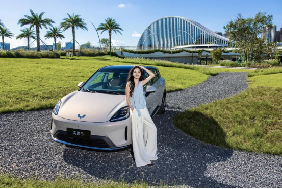 8万级纯电小车对比，缤果S和吉利星愿哪个好？