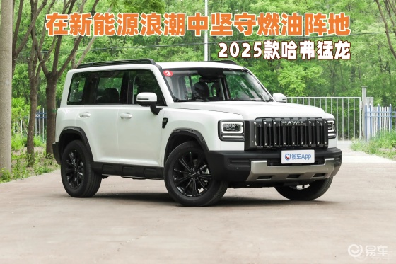 在新能源浪潮中坚守燃油阵地：2025款哈弗猛龙
