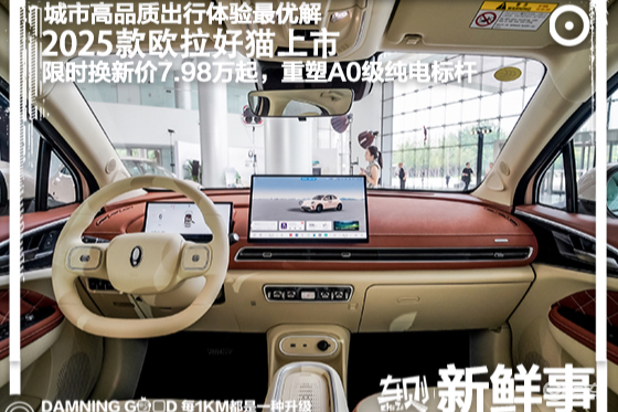 2025款欧拉好猫:限时换新价7.98万起，哪款最值得选