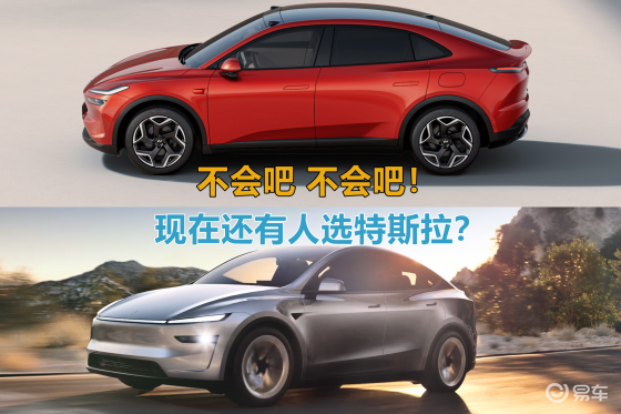 乐道L60、特斯拉Model Y拼刺刀，谁更懂中国家庭？
