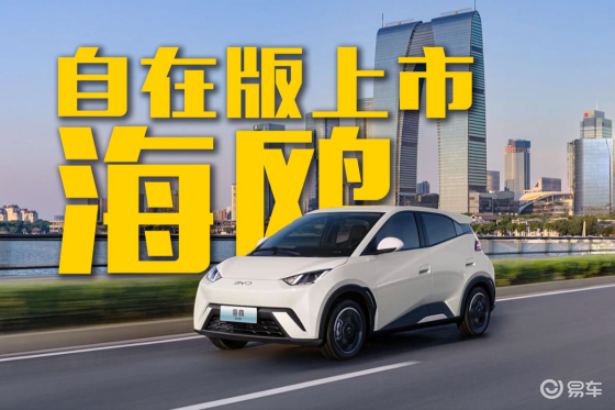 比亚迪海鸥累销百万！自在版正式上市！