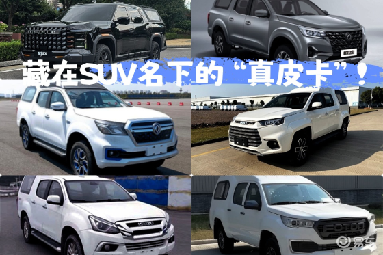 这6款车免报废、免年检 实用派终极选择