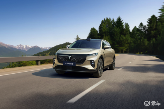 20万真满血华为纯电SUV！全新岚图知音正式上市