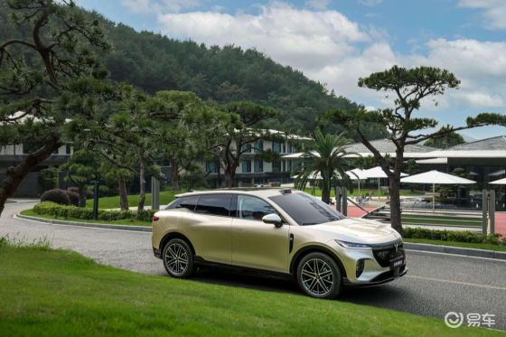 20万真满血华为纯电SUV！全新岚图知音正式上市