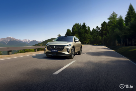 全新岚图知音：20.29万元起，真满血华为纯电SUV！