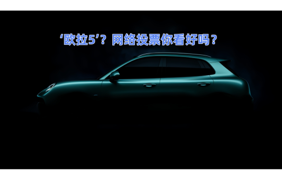 欧拉新SUV网络投票命名，长城怎么还搞这一套