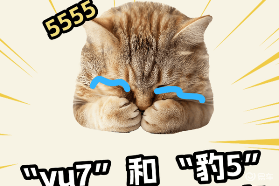 30万选yu7还是豹5？轻松对比，购车指南