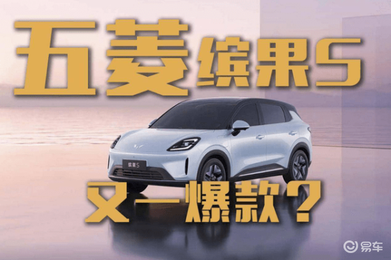 五菱缤果S预售启幕，精品小车有望再掀购车热浪