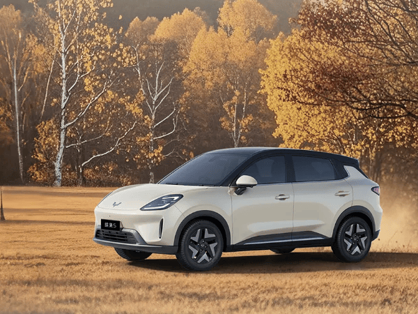 缤果s和比亚迪海鸥哪个好？看中实用耐用这样选