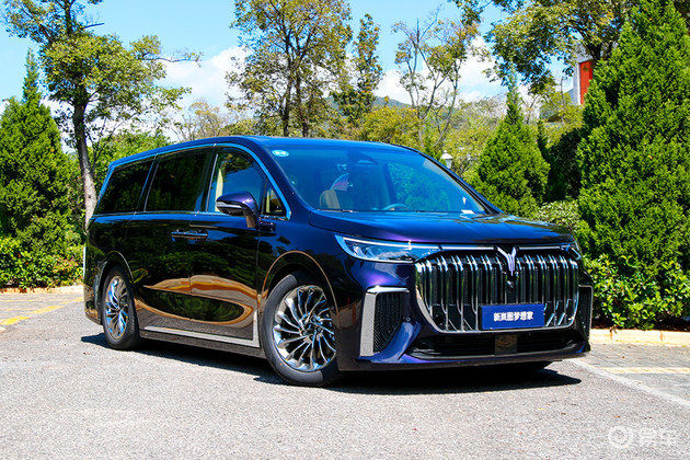 强势冲击中高端新能源mpv市场 试驾2024款岚图梦想家