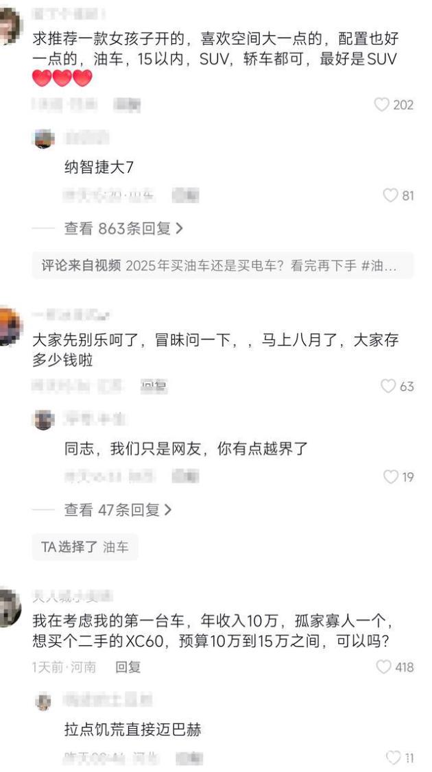 2025年下油电车选哪个？网友热议