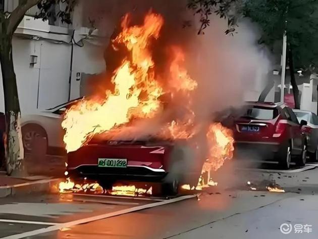 燃油车vs电动车:各有所长,灵活选择