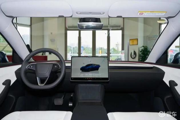 全球销冠纯电车，续航超800公里，售价亲民，网友：买早了