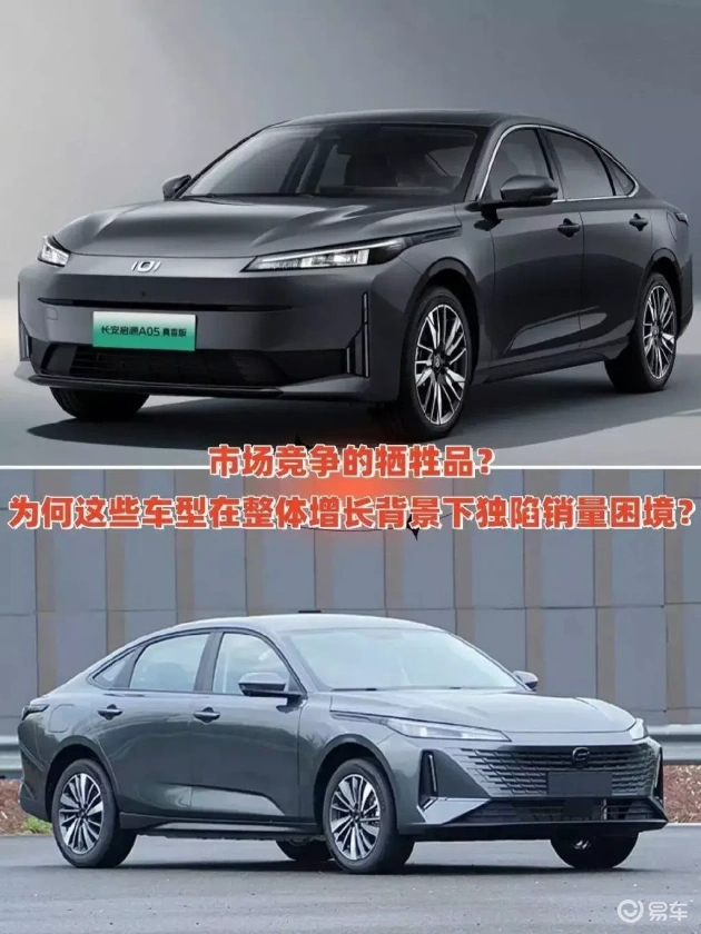 谁是销量战场的遗珠？解析陷入困境的车界新秀