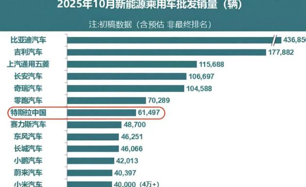 特斯拉新Model Y：821km续航，28.85万元起，高性价比