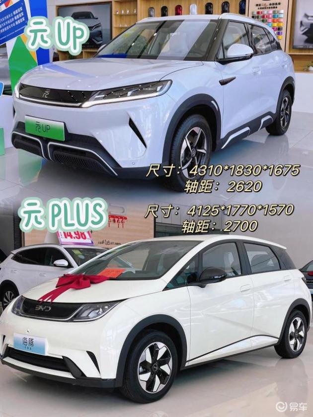 海豚VS元PLUS：哪款更对你的口味